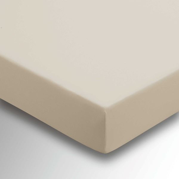 Plain Dye Percale Fitted Sheet - Stone